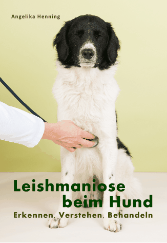 Leishmaniose beim Hund